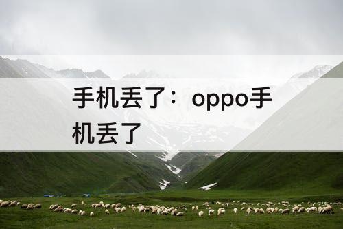 手机丢了：oppo手机丢了