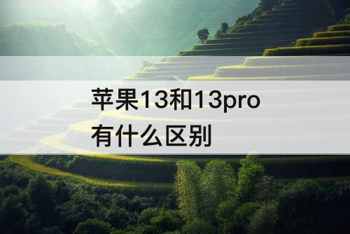 苹果13和13pro有什么区别