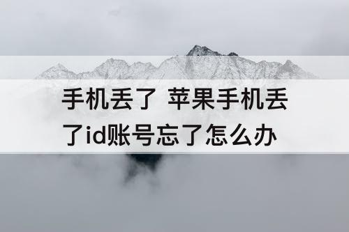 手机丢了 苹果手机丢了id账号忘了怎么办