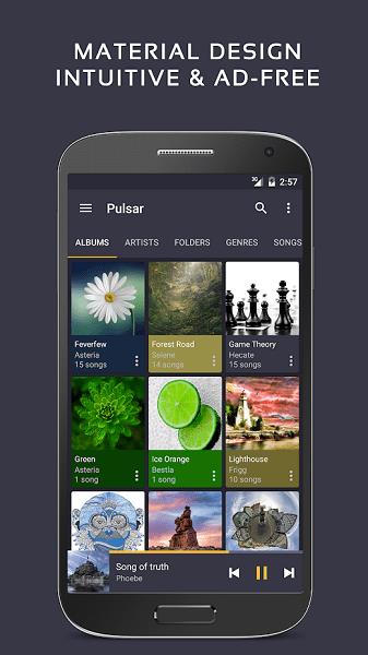 pulsar音乐播放器  v1.10.7图2