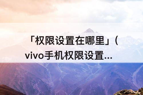 「权限设置在哪里」(vivo手机权限设置在哪里设置方法)