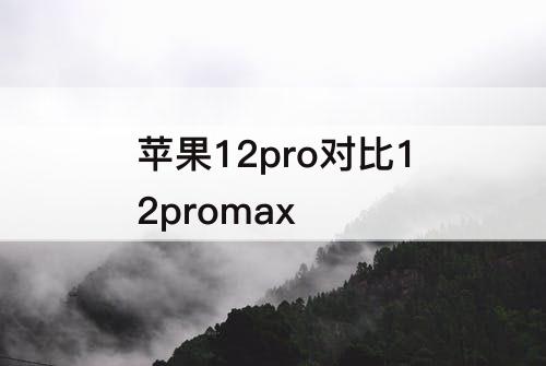 苹果12pro对比12promax