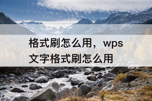 格式刷怎么用，wps文字格式刷怎么用