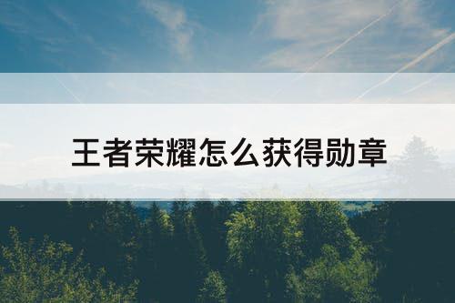 王者荣耀怎么获得勋章