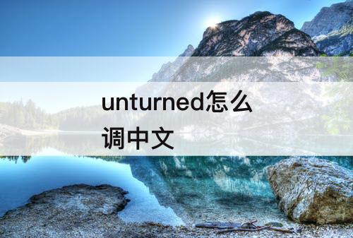 unturned怎么调中文