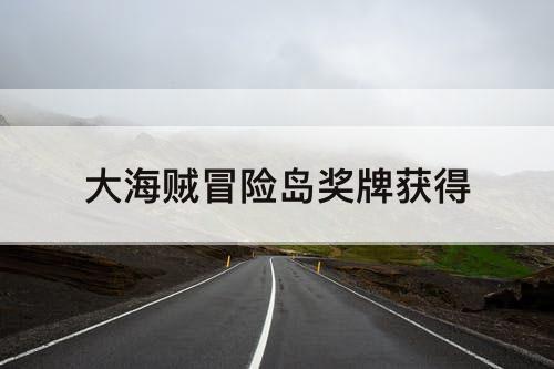 大海贼冒险岛奖牌获得