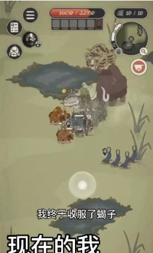 动物森林  v1.2.33图3