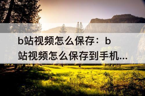 b站视频怎么保存：b站视频怎么保存到手机相册