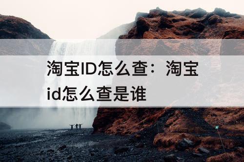 淘宝ID怎么查：淘宝id怎么查是谁
