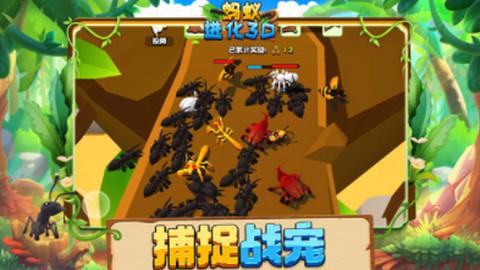 蚂蚁进化3D