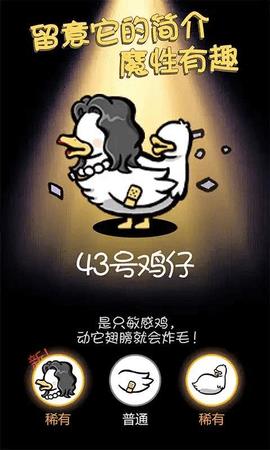 小鸡真奇怪  v1.5.3图3