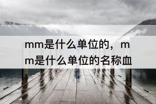 mm是什么单位的，mm是什么单位的名称血
