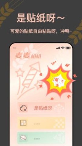 麦麦相机  v1.0.0.101图1