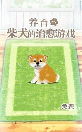 养育柴犬的治愈  v1.0.0图1