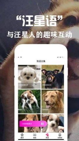 狗语翻译交流器  v2.0图3