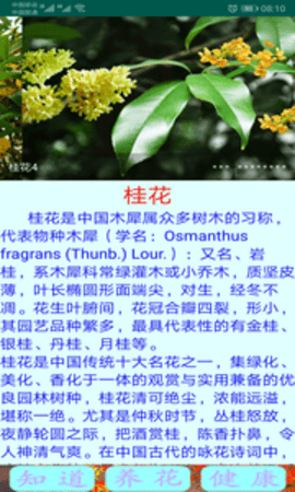 绿植花卉  v7.0图2