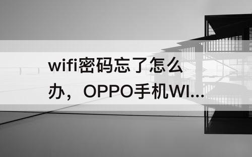 wifi密码忘了怎么办，OPPO手机WIFI密码忘了怎么办