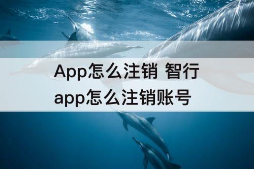 App怎么注销 智行app怎么注销账号