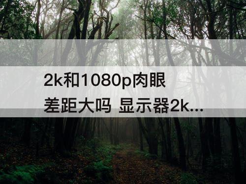 2k和1080p肉眼差距大吗 显示器2k和1080p肉眼差距大吗