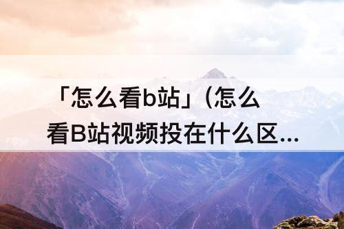 「怎么看b站」(怎么看B站视频投在什么区)