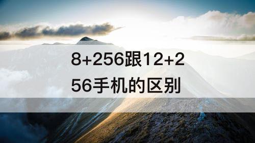 8+256跟12+256手机的区别