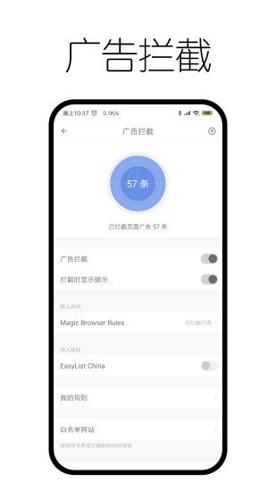 神奇浏览器  v0.9.8.5图2