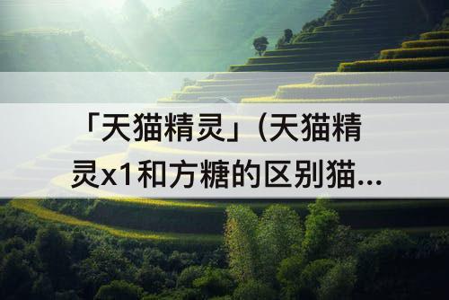 「天猫精灵」(天猫精灵x1和方糖的区别猫精灵电池)
