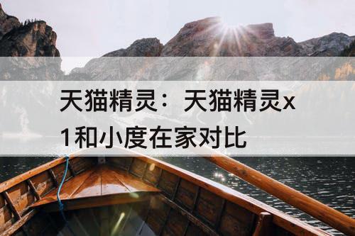 天猫精灵：天猫精灵x1和小度在家对比