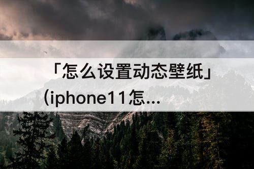 「怎么设置动态壁纸」(iphone11怎么设置动态壁纸不按压播放)