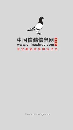 中国信鸽信息网  v20220618图4