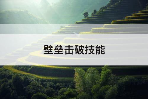 壁垒击破技能