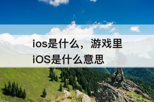 ios是什么，游戏里iOS是什么意思