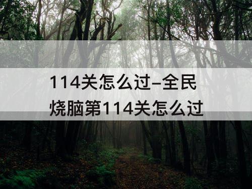 114关怎么过-全民烧脑第114关怎么过