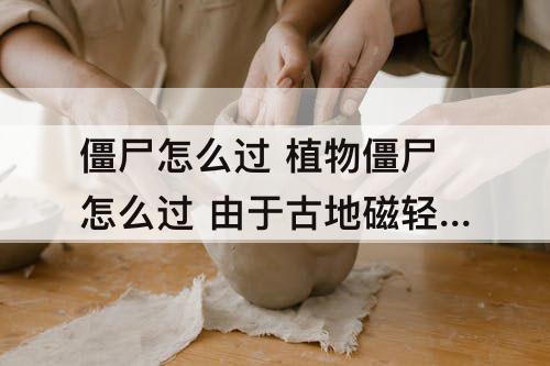 僵尸怎么过 植物僵尸怎么过 由于古地磁轻松过