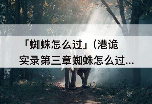 「蜘蛛怎么过」(港诡实录第三章蜘蛛怎么过)