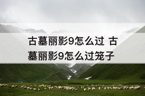 古墓丽影9怎么过 古墓丽影9怎么过笼子
