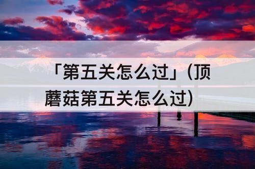 「第五关怎么过」(顶蘑菇第五关怎么过)