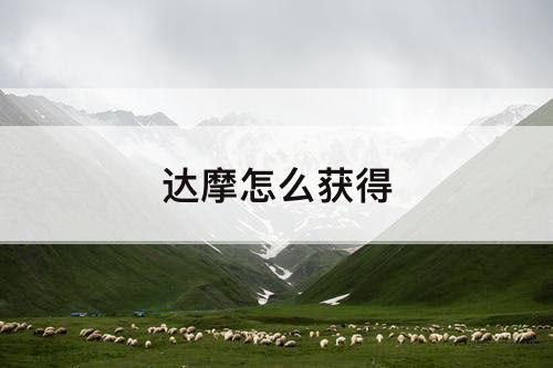 达摩怎么获得