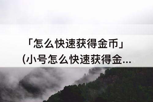 「怎么快速获得金币」(小号怎么快速获得金币)