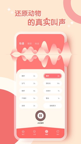 鹦鹉翻译器  v2.0.2图2