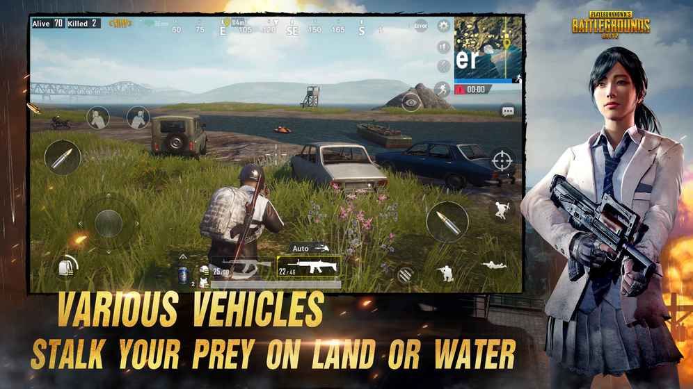 pubg国际版