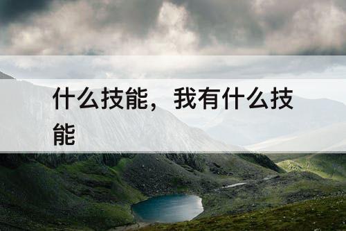 什么技能，我有什么技能