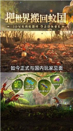 蚁族总动员  v1.31.1图2