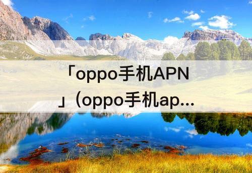 「oppo手机APN」(oppo手机apn设置在哪)