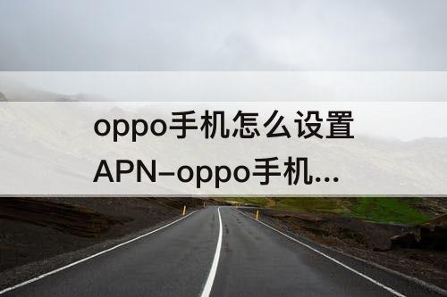 oppo手机怎么设置APN-oppo手机怎么设置apn接入点网快