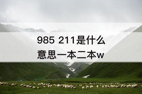 985 211是什么意思一本二本w