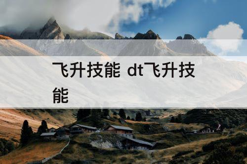 飞升技能 dt飞升技能