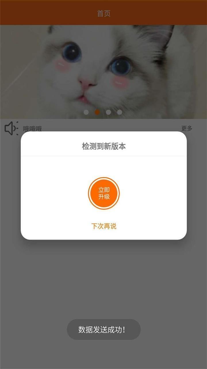 善宠  v1.0.5图1