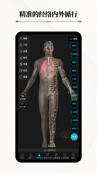 中医经络腧穴  v1.0.1图2