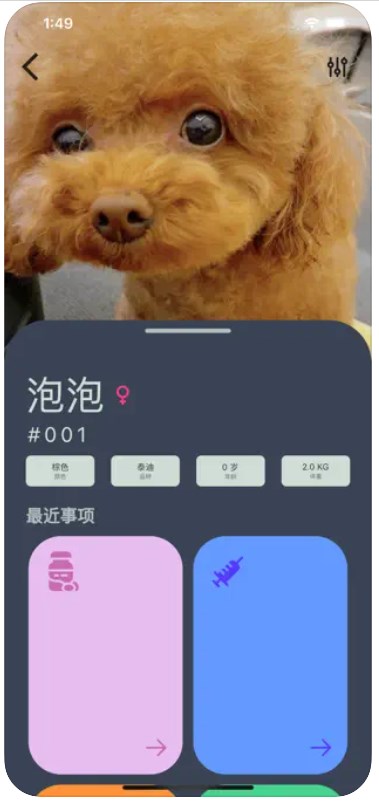 爱宠小派2024  v1.1图2